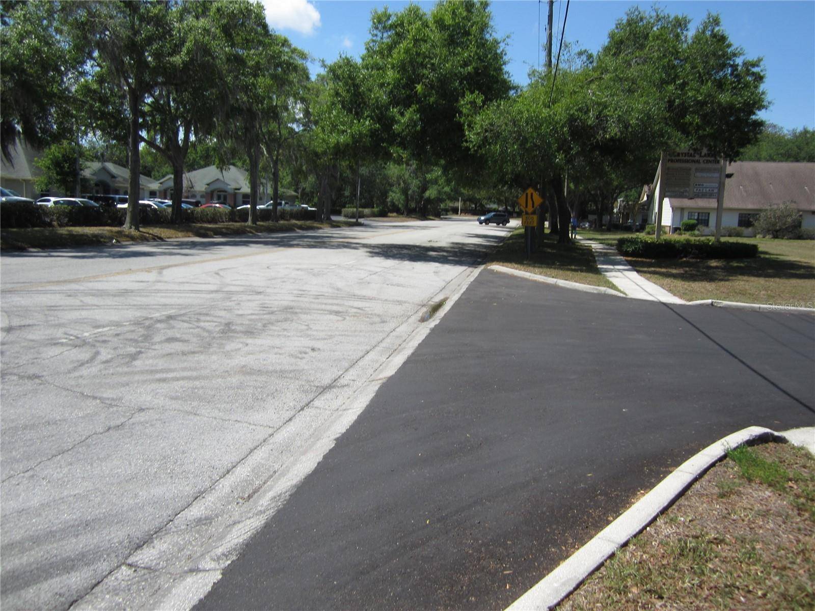 Lutz, FL 33548,209 CRYSTAL GROVE BLVD