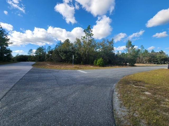 Citrus Springs, FL 34433,9778 N CHAPEL WAY