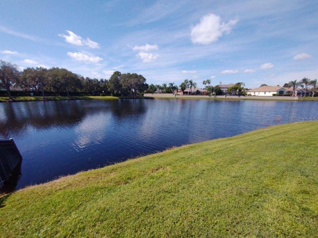 Trinity, FL 34655,1808 BROADLEAF CT