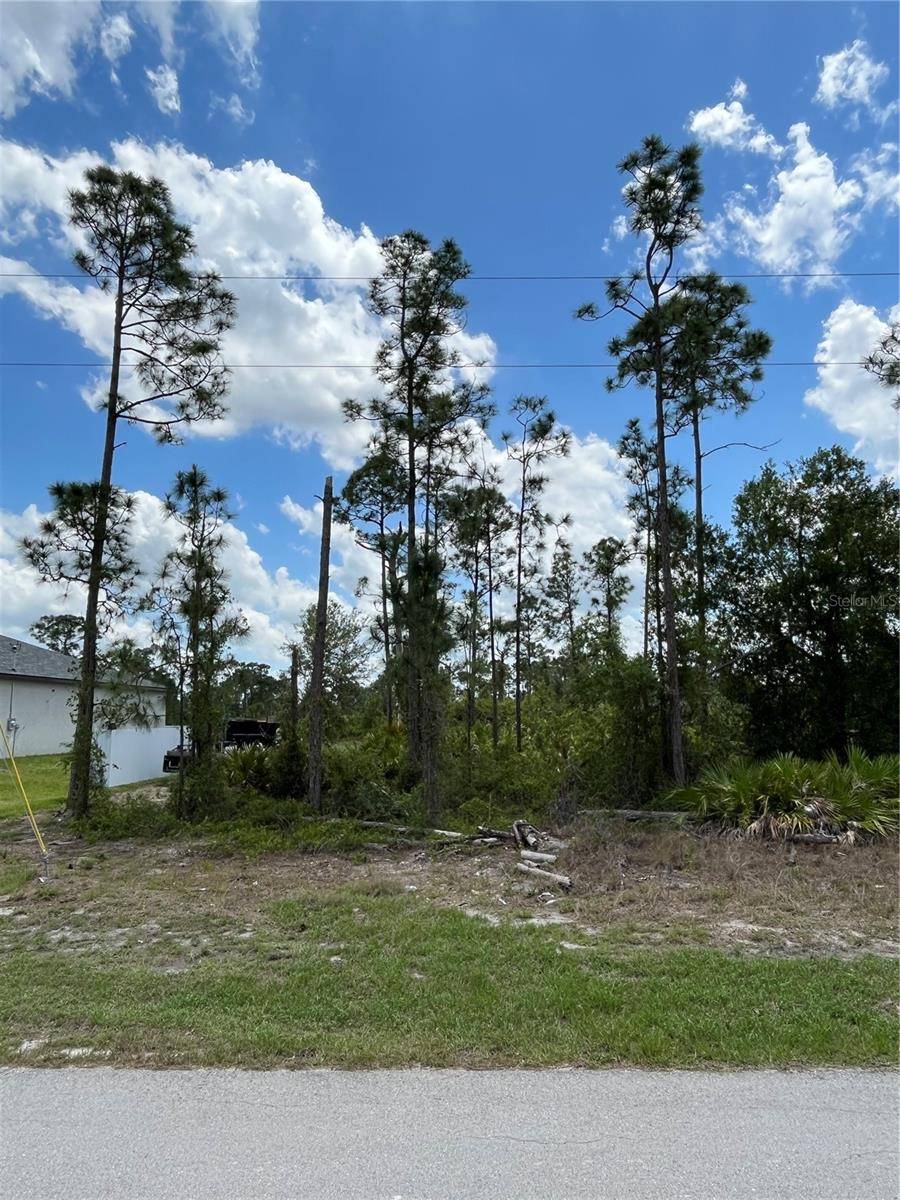 Lehigh Acres, FL 33974,1126 EDELWEISS ST E