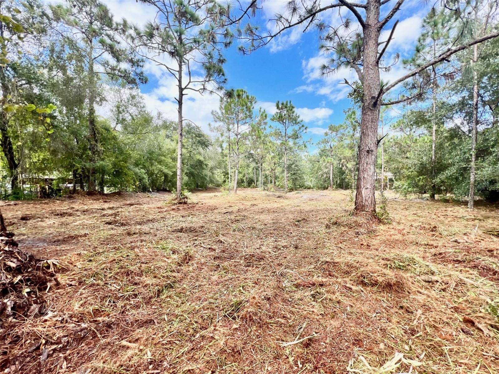 Wesley Chapel, FL 33543,Lot 404 QUAIL HOLLOW BLVD