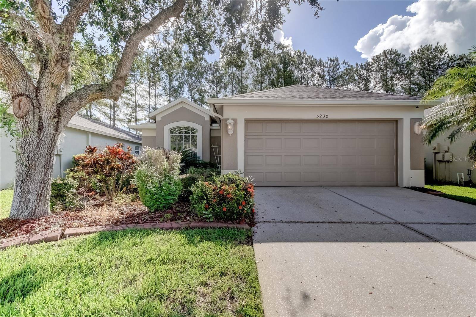 Wesley Chapel, FL 33544,5230 GATO DEL SOL CIR