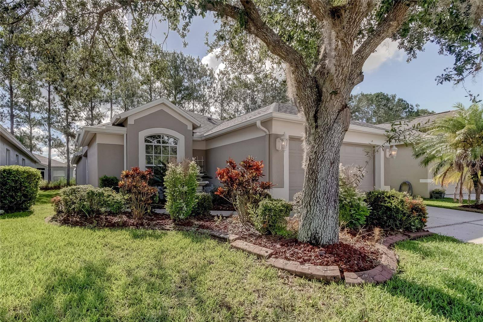 Wesley Chapel, FL 33544,5230 GATO DEL SOL CIR