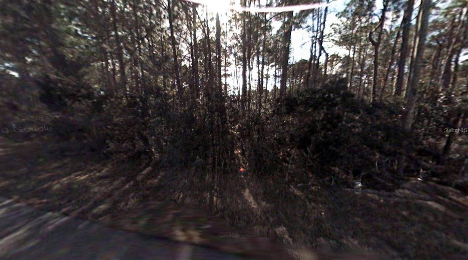 Palm Coast, FL 32164,8 LLEBERRY PATH