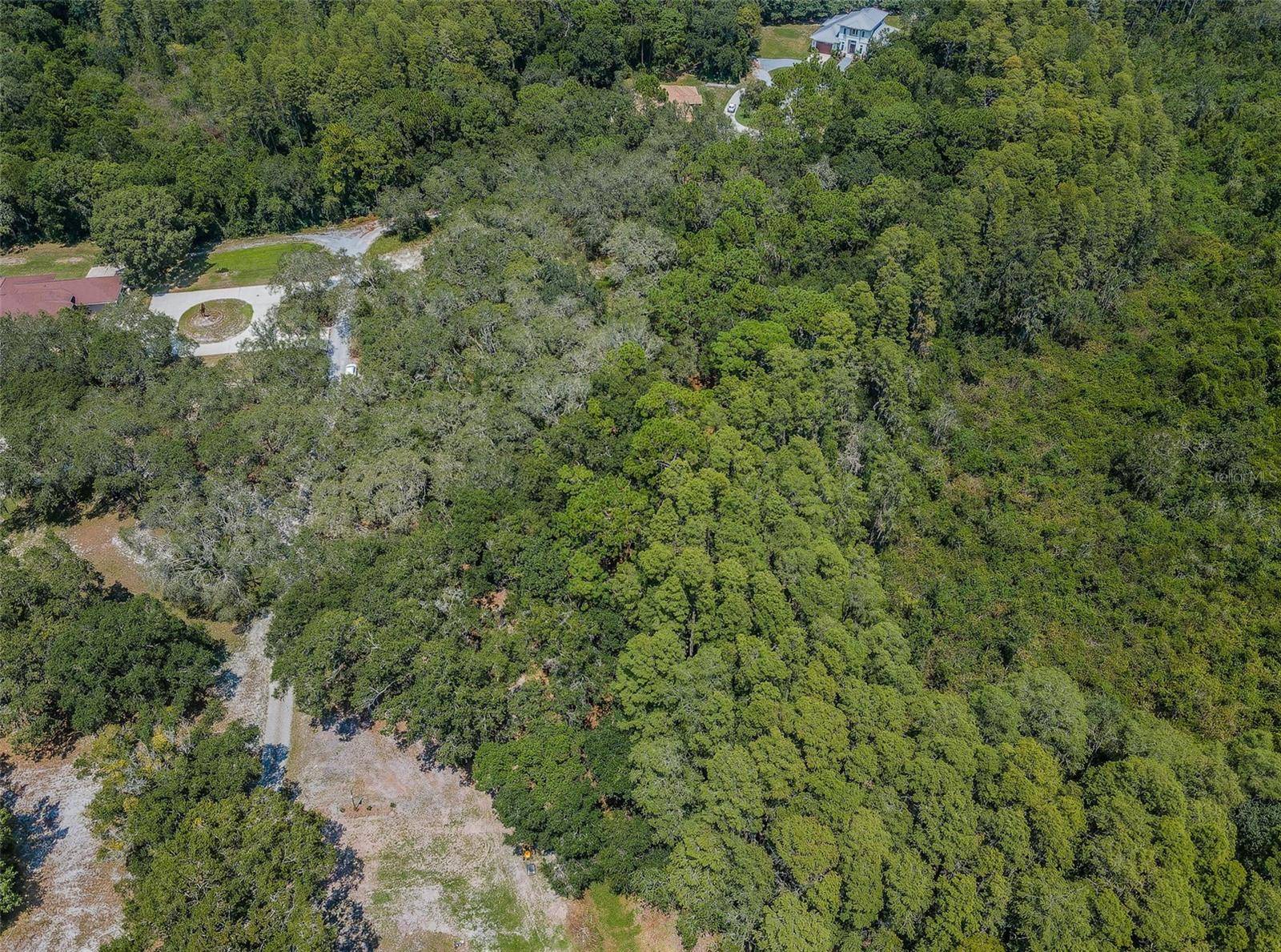 Odessa, FL 33556,COQUI COURT