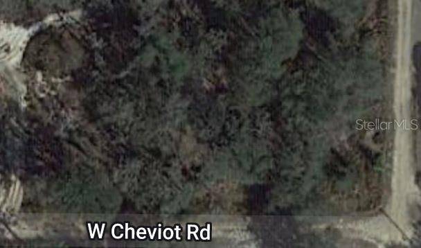 Avon Park, FL 33825,2810 W CHEVIOT RD