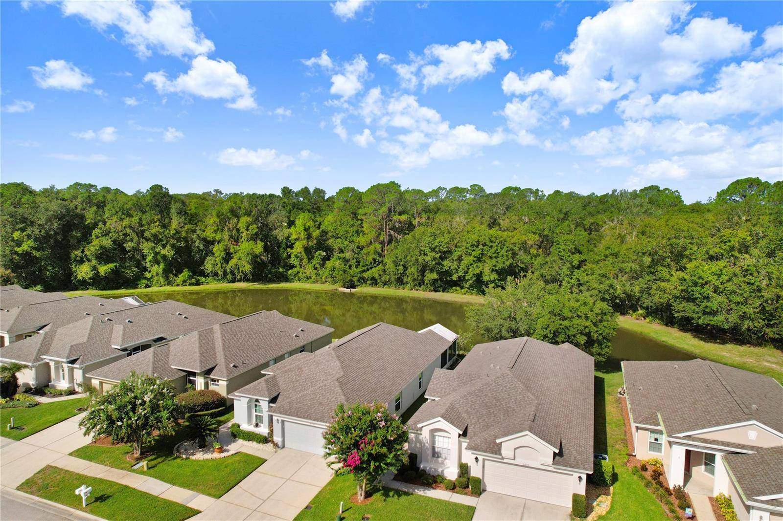 Wesley Chapel, FL 33544,5237 GATO DEL SOL CIR