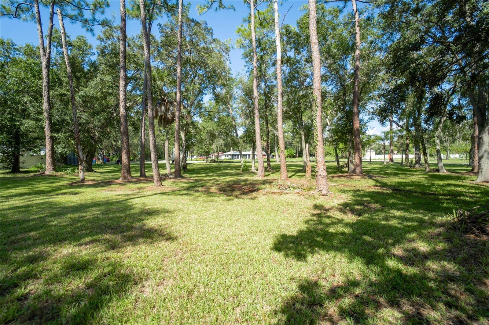 Tampa, FL 33635,8701 HART LN