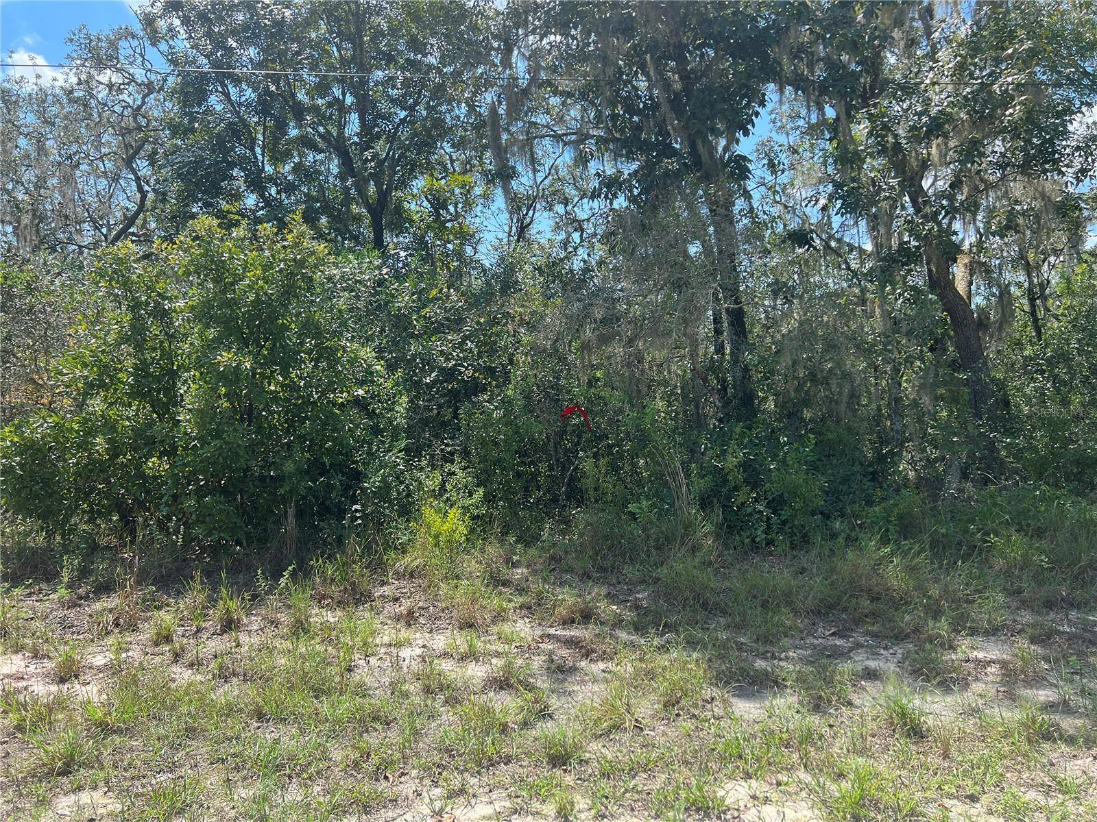 Webster, FL 33597,0 RIVERSTONE ST