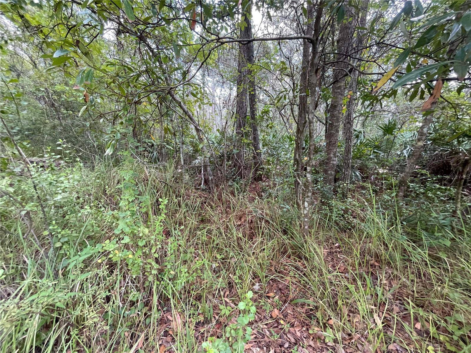 New Port Richey, FL 34654,Lots 1-4 ORLAND ST