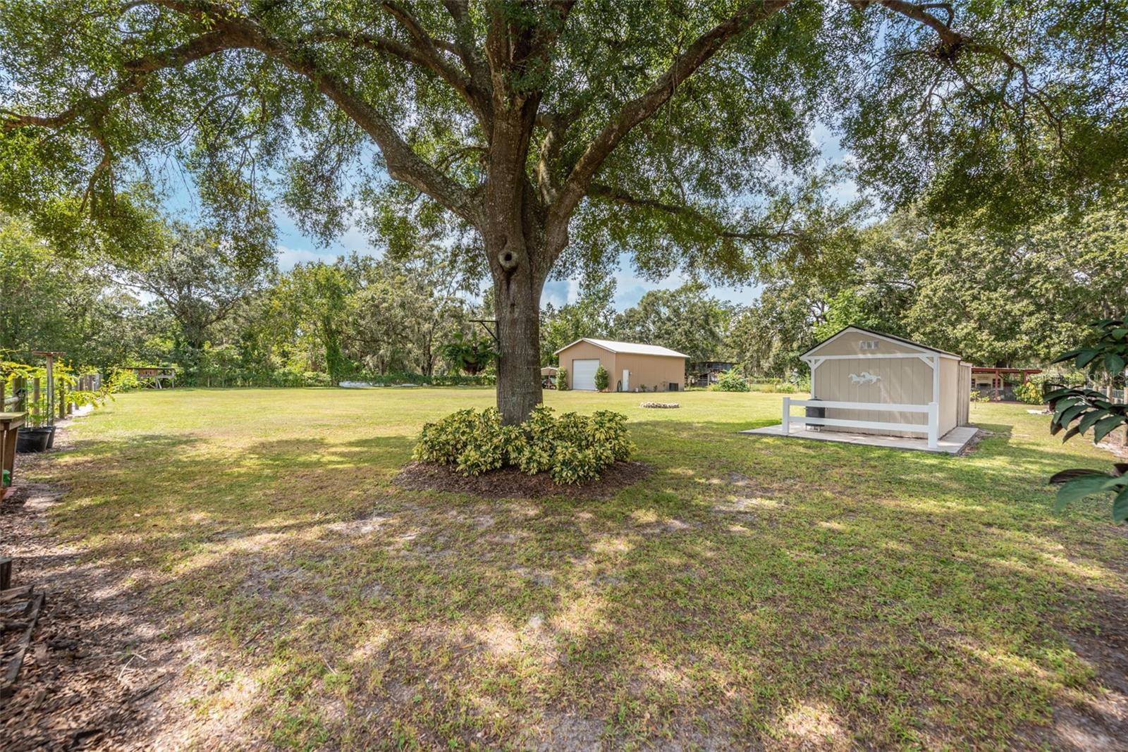 Lithia, FL 33547,11411 CHAROLAIS RD