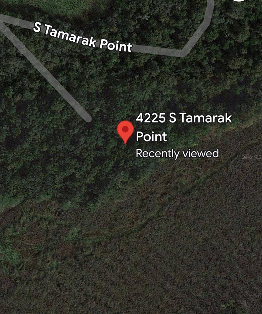 Inverness, FL 34450,4225 S TAMARAK PT