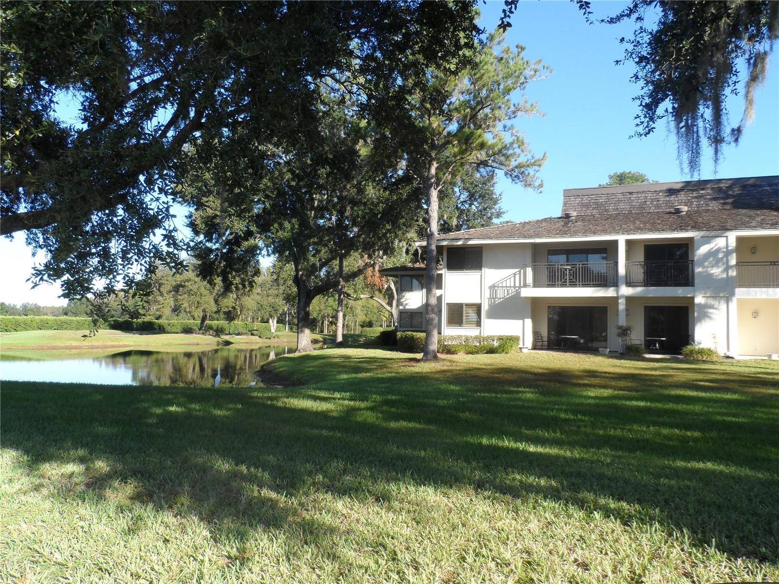 Wesley Chapel, FL 33543,4947 MILL POND RD #3101