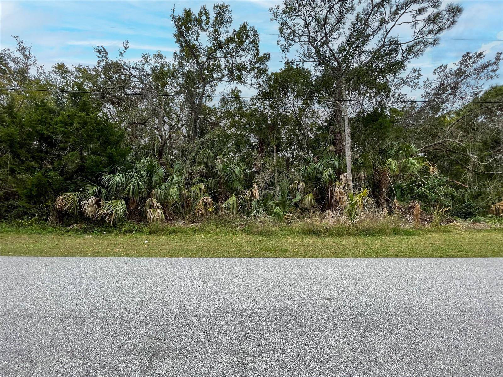 Hudson, FL 34667,Lot 53 GULF WAY