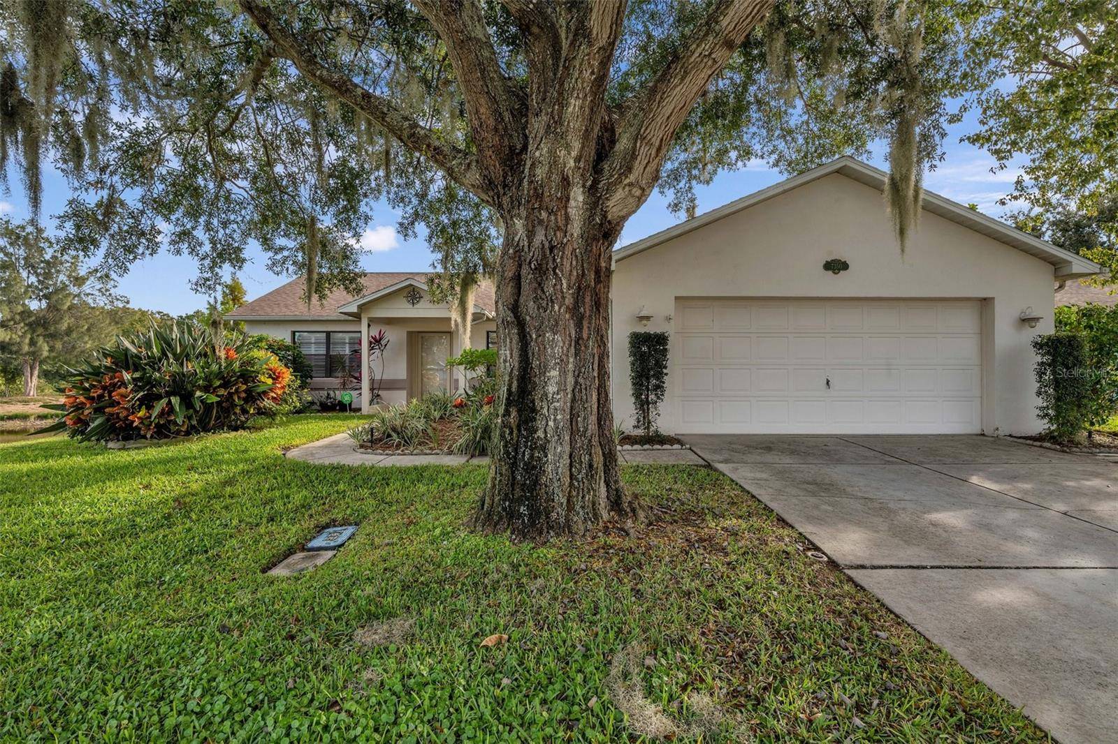 New Port Richey, FL 34653,7350 ASHMORE DR