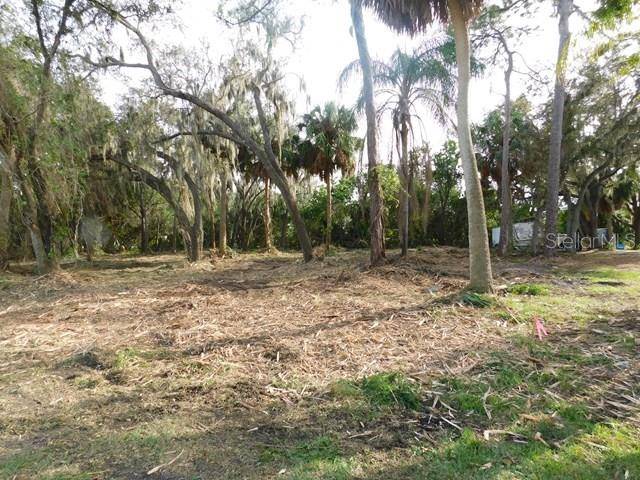 Ruskin, FL 33570,Lot 256 NW 2ND AVE