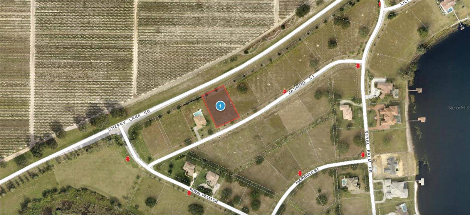 Groveland, FL 34736,7413 JASMINE ST