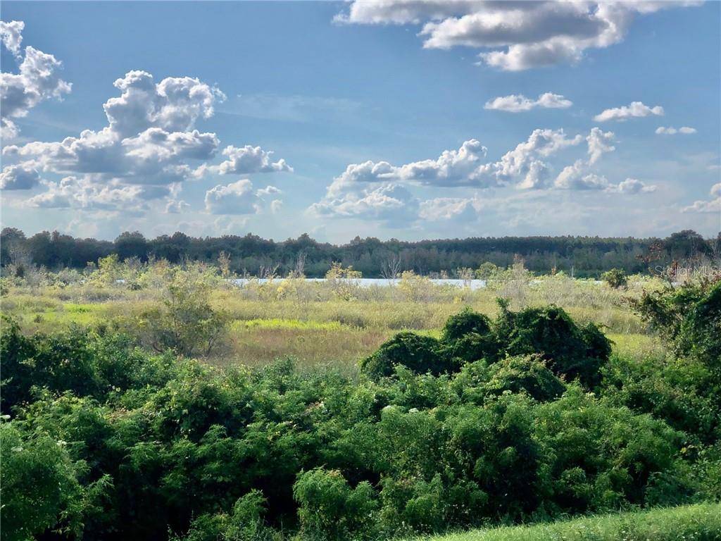 Umatilla, FL 32784,W LAKE YALE RD