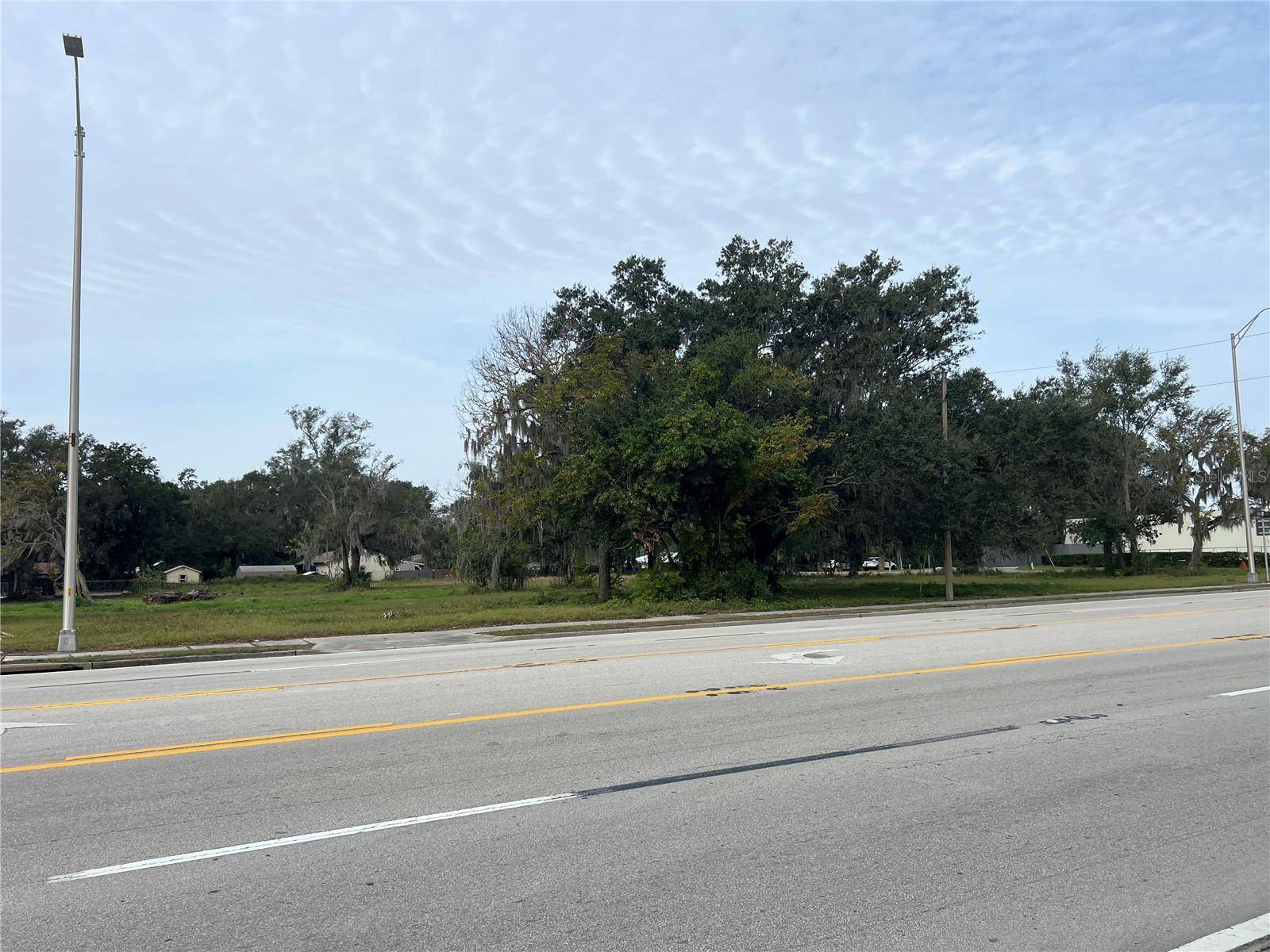 Fort Meade, FL 33841,0 0 CHARLESTON AVE