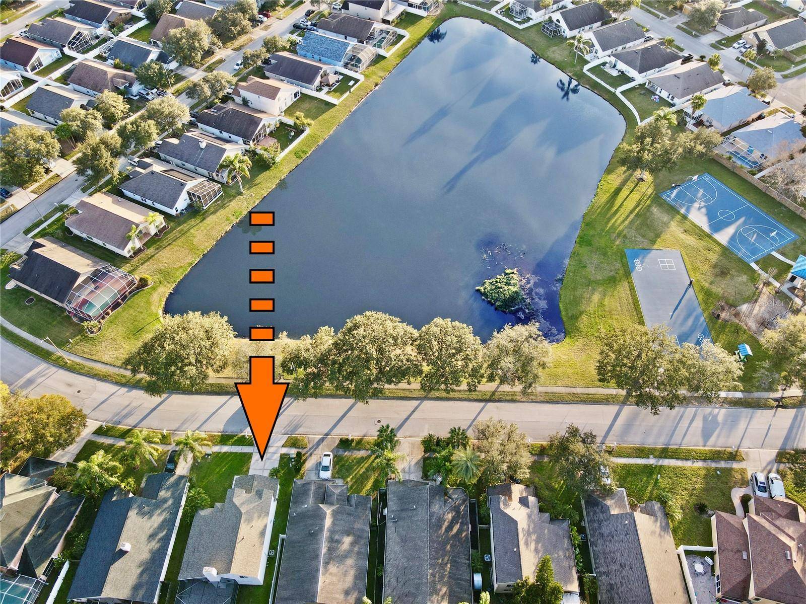 Wesley Chapel, FL 33543,29445 BIRDS EYE DR