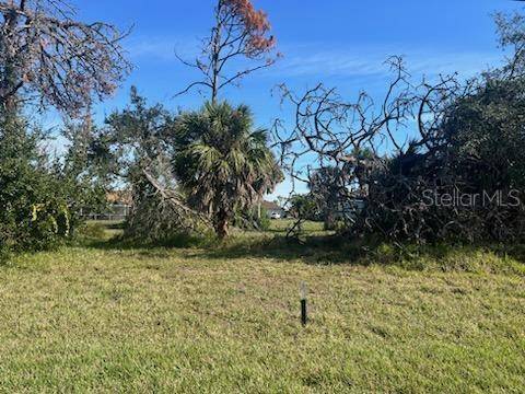 Rotonda West, FL 33947,33 PINE VALLEY LN