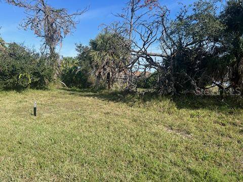 Rotonda West, FL 33947,33 PINE VALLEY LN