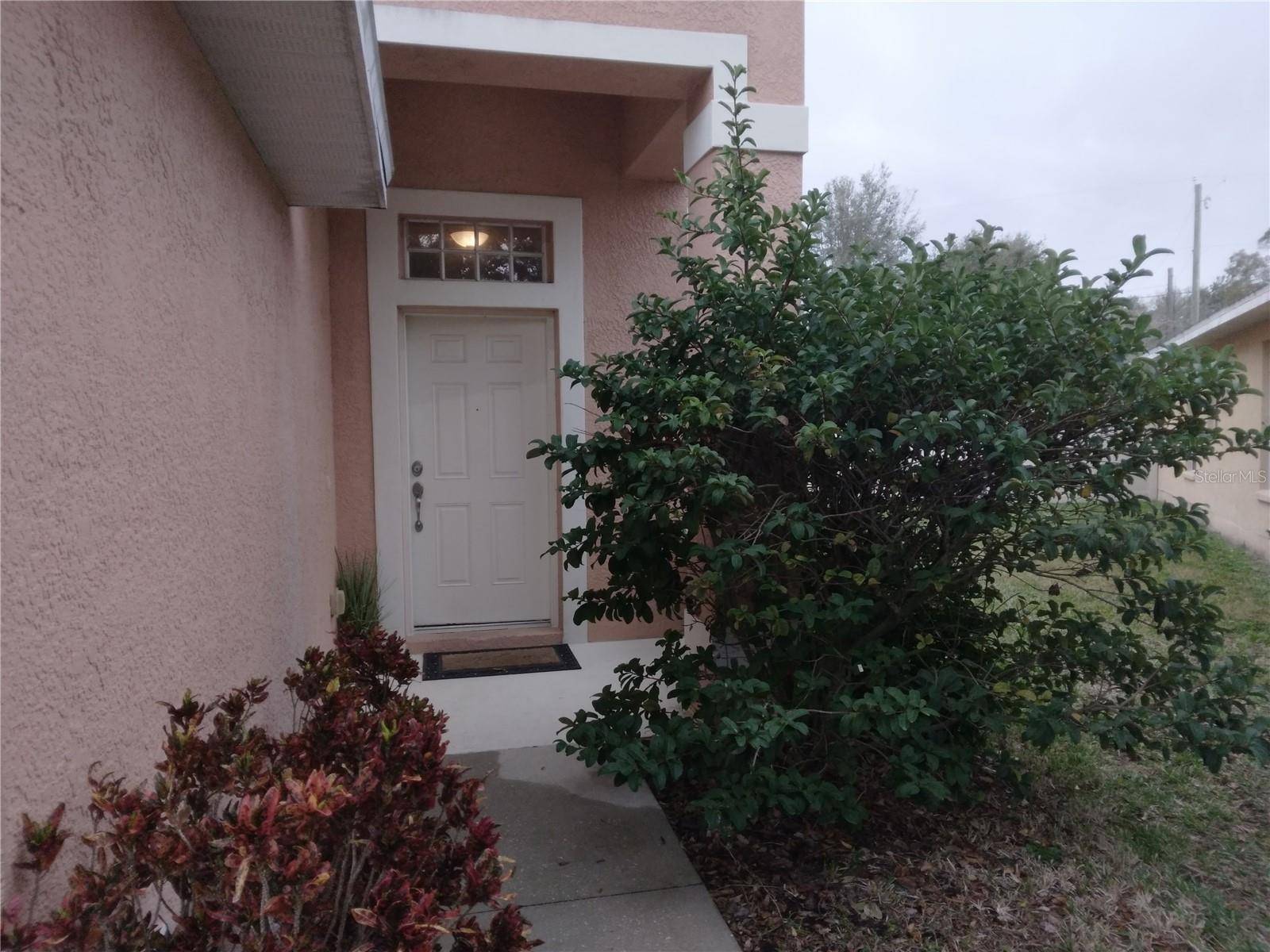 Riverview, FL 33578,10319 AVELAR RIDGE DR