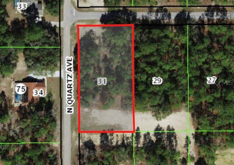 Hernando, FL 34442,1936 W TACOMA ST