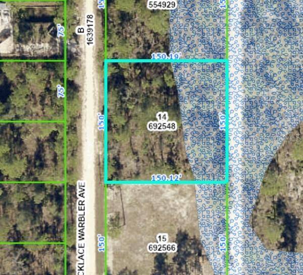 Weeki Wachee, FL 34614,0 NECKLACE WARBLER AVE