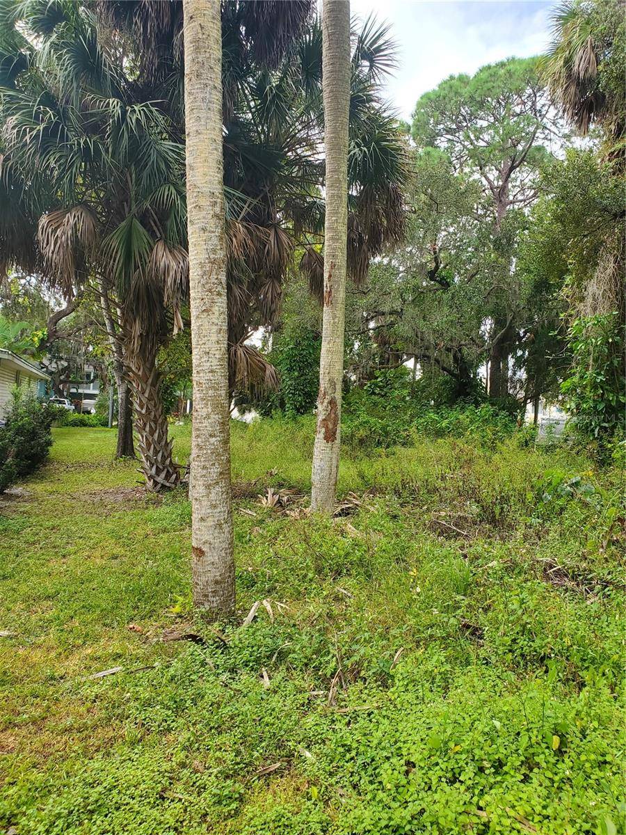 Port Richey, FL 34668,0 MILLER BAYOU DR