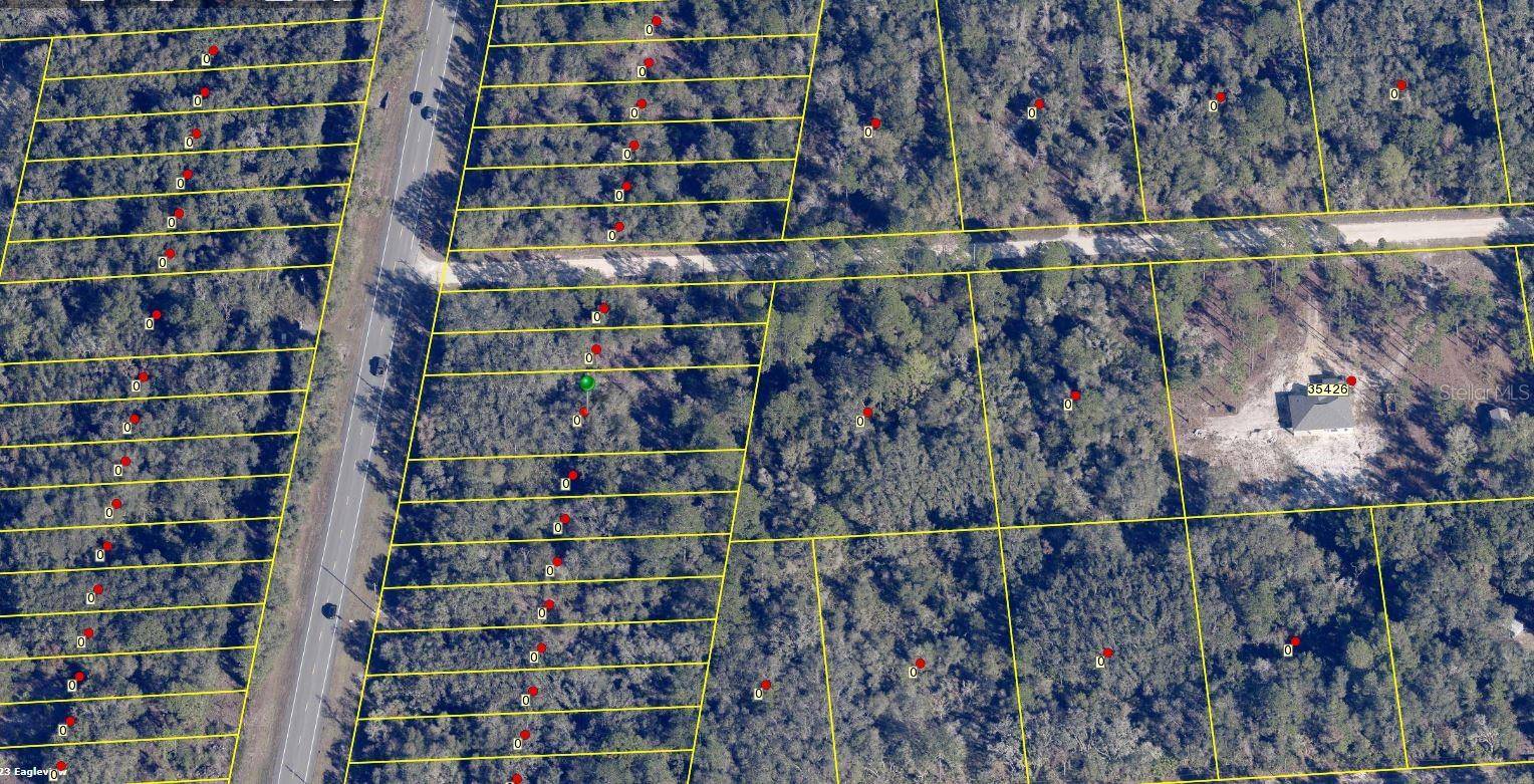 Webster, FL 33597,8146 TREIMAN BLVD