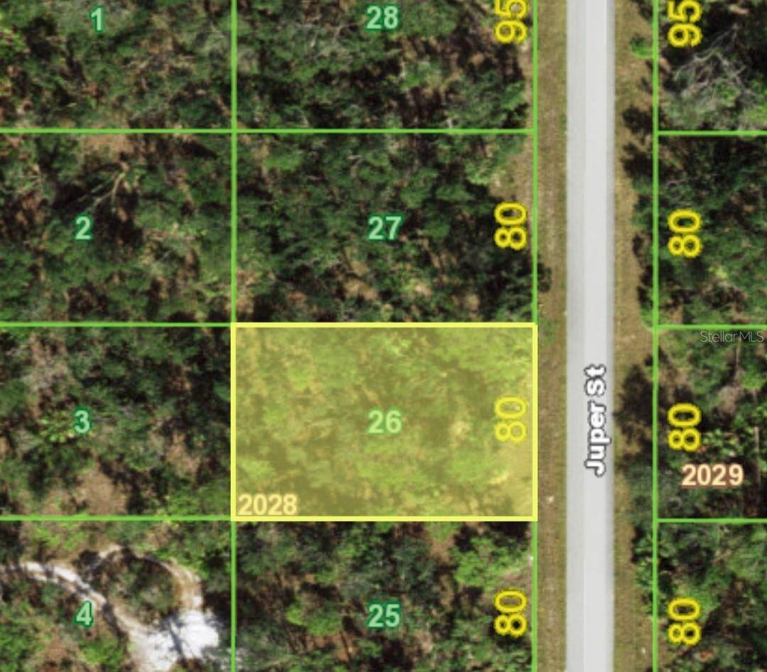 Port Charlotte, FL 33953,239 JUPER ST