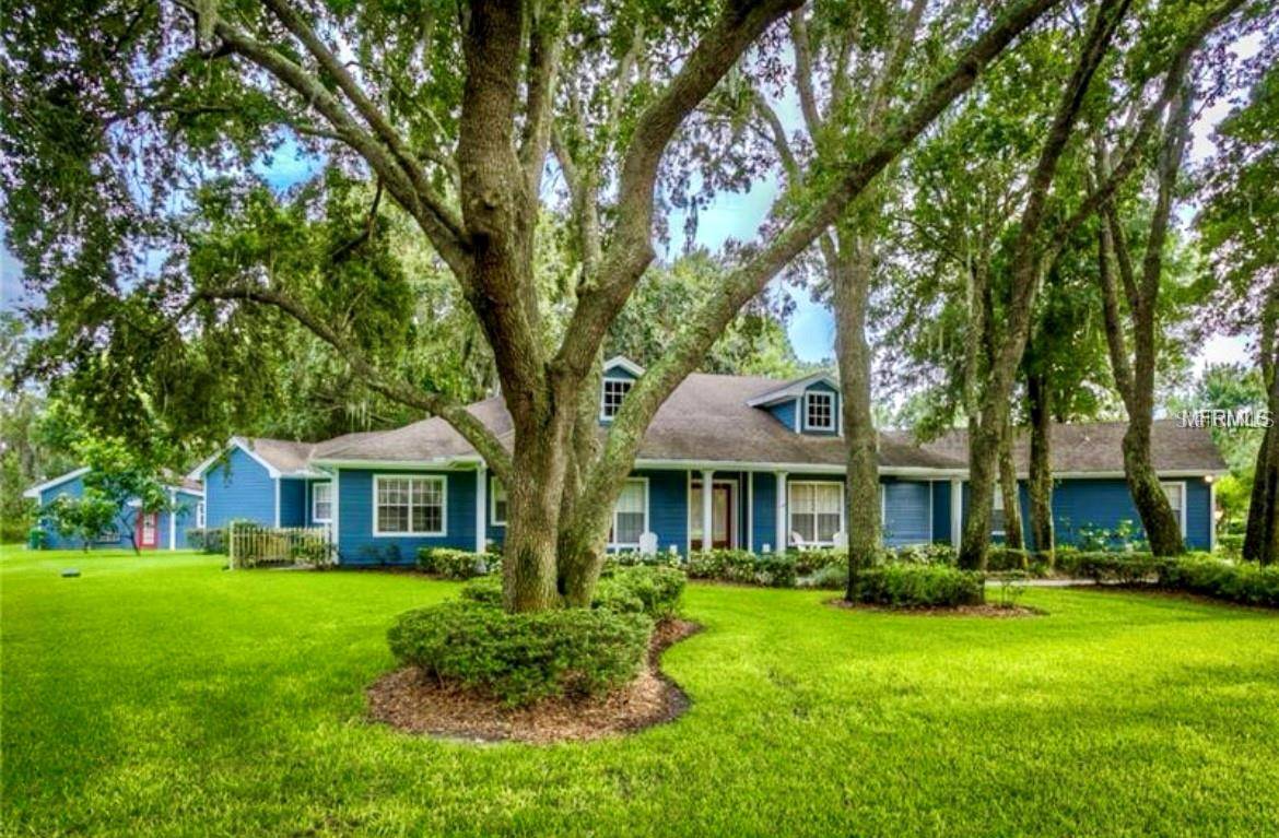 Odessa, FL 33556,11010 NEST CT