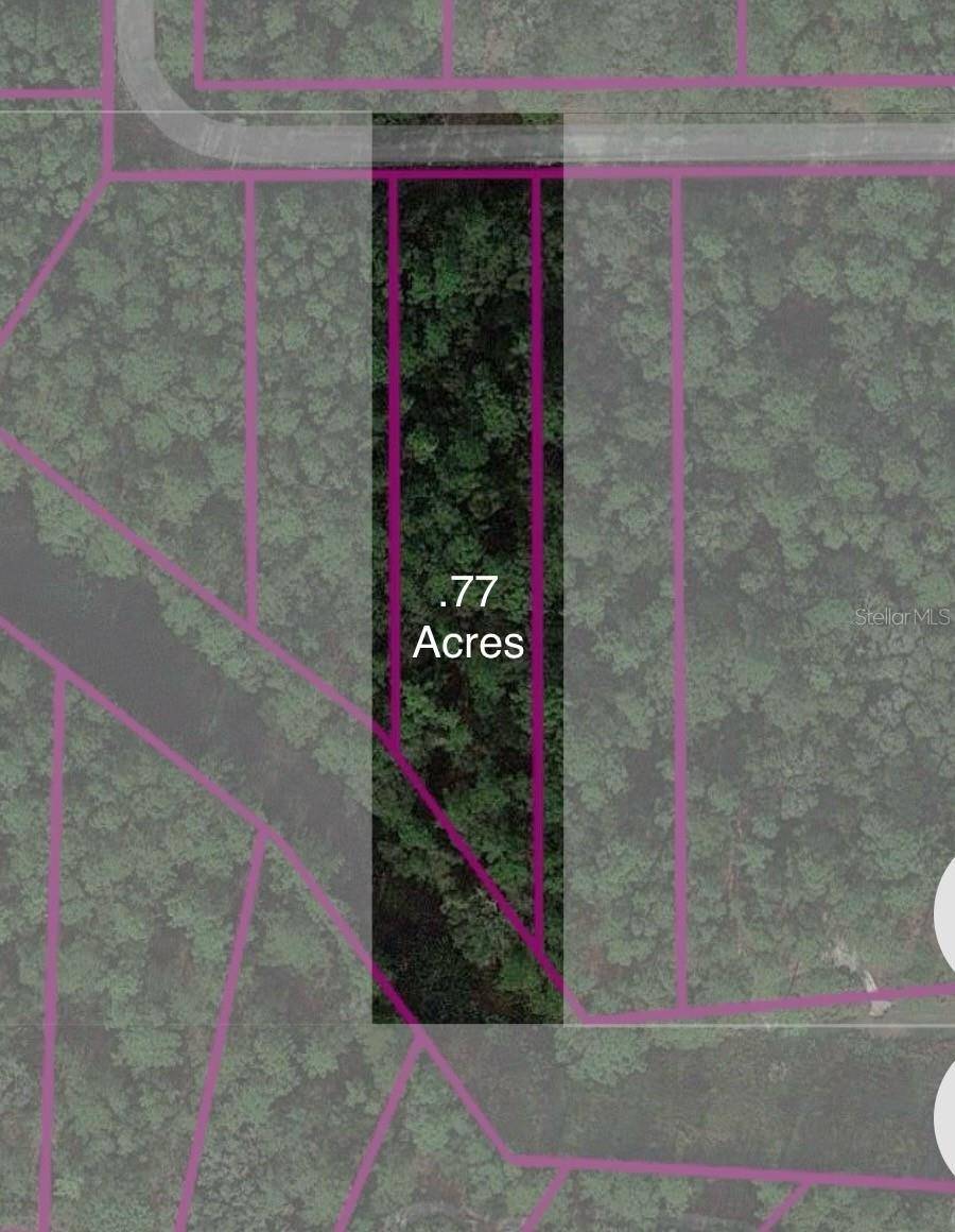 Webster, FL 33597,0 ALLOY ST