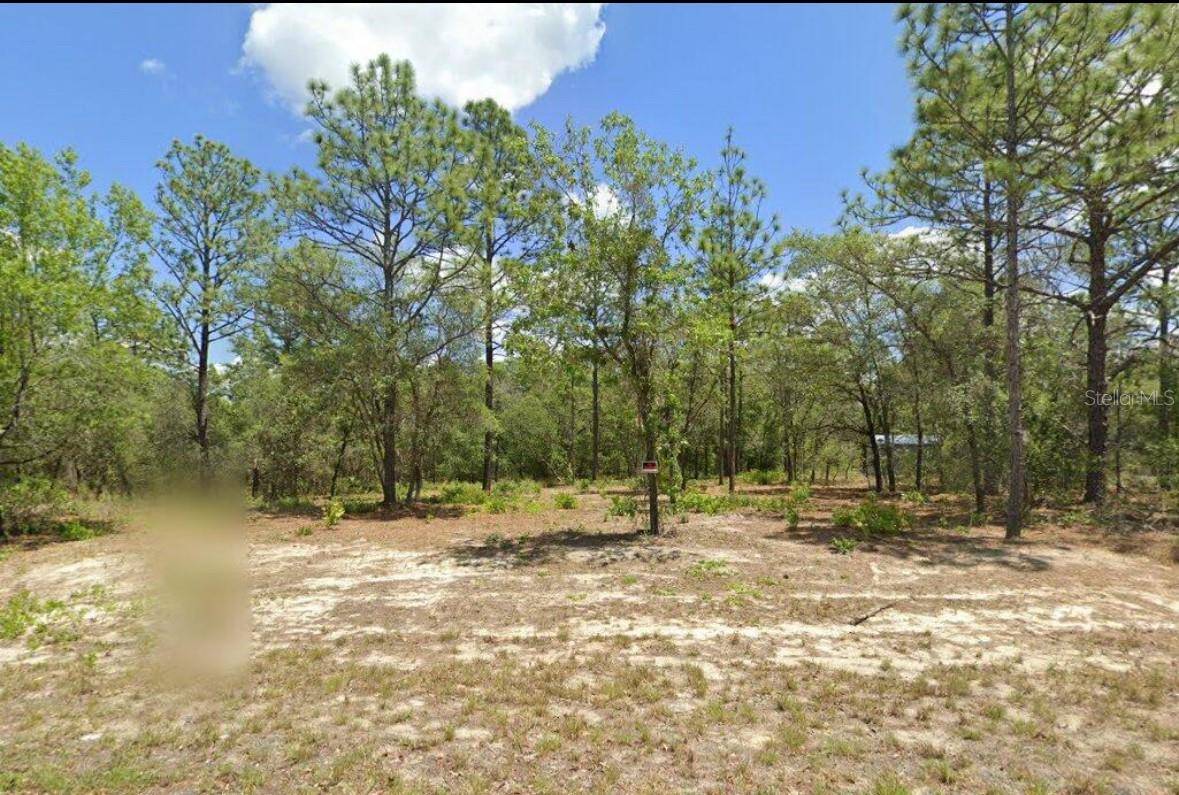 Dunnellon, FL 34433,9535 N SAN MARCOS WAY