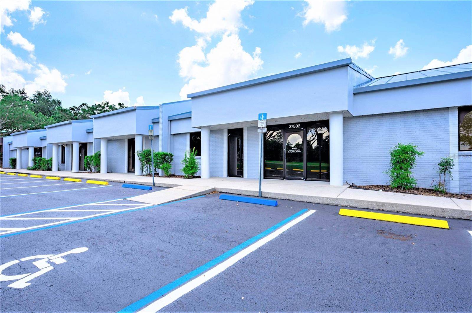 Zephyrhills, FL 33541,37802 MEDICAL ARTS CT