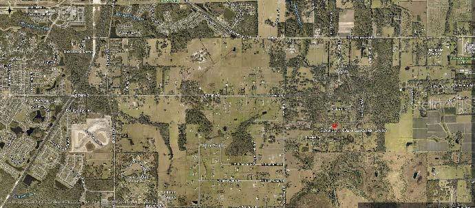 Lithia, FL 33547,19043 RED BIRD LN