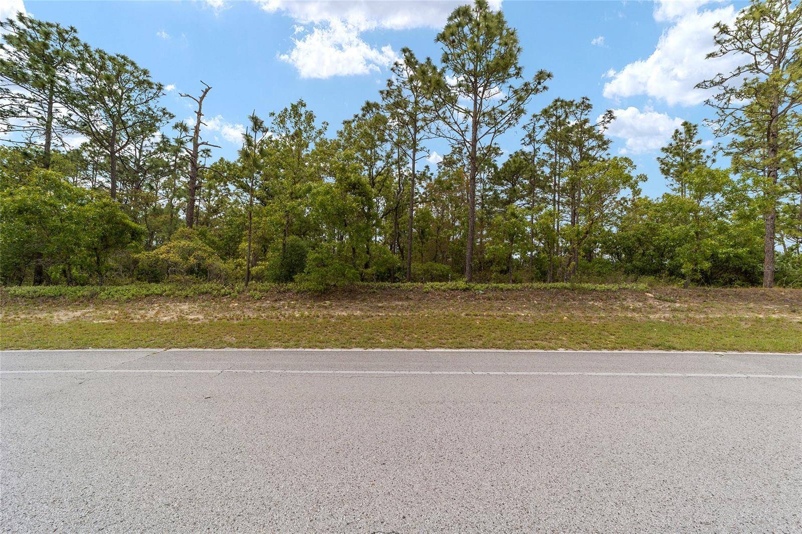 Citrus Springs, FL 34433,9200 N CITRUS SPRINGS BLVD