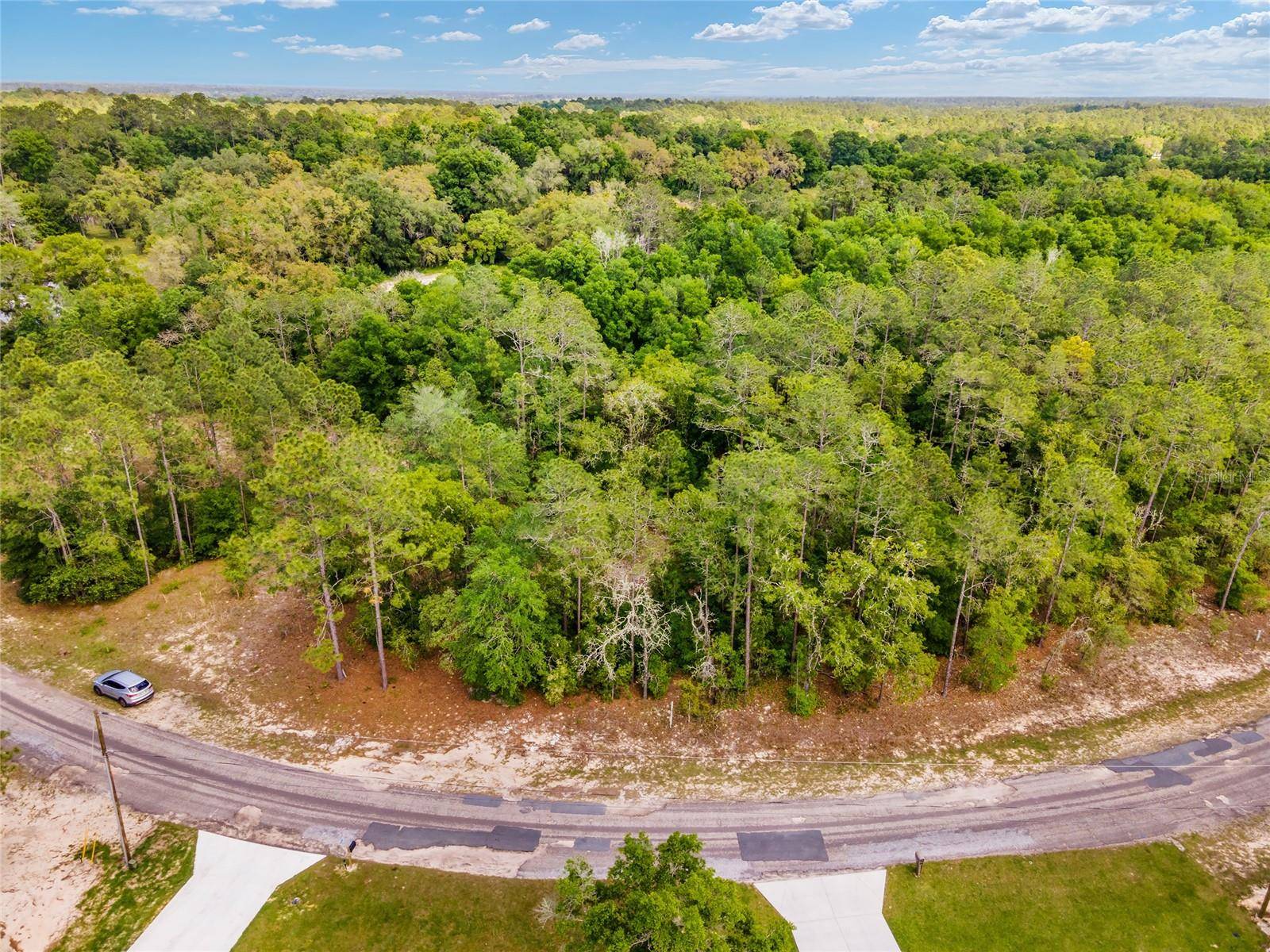 Citrus Springs, FL 34434,10291 N SHERMAN DR