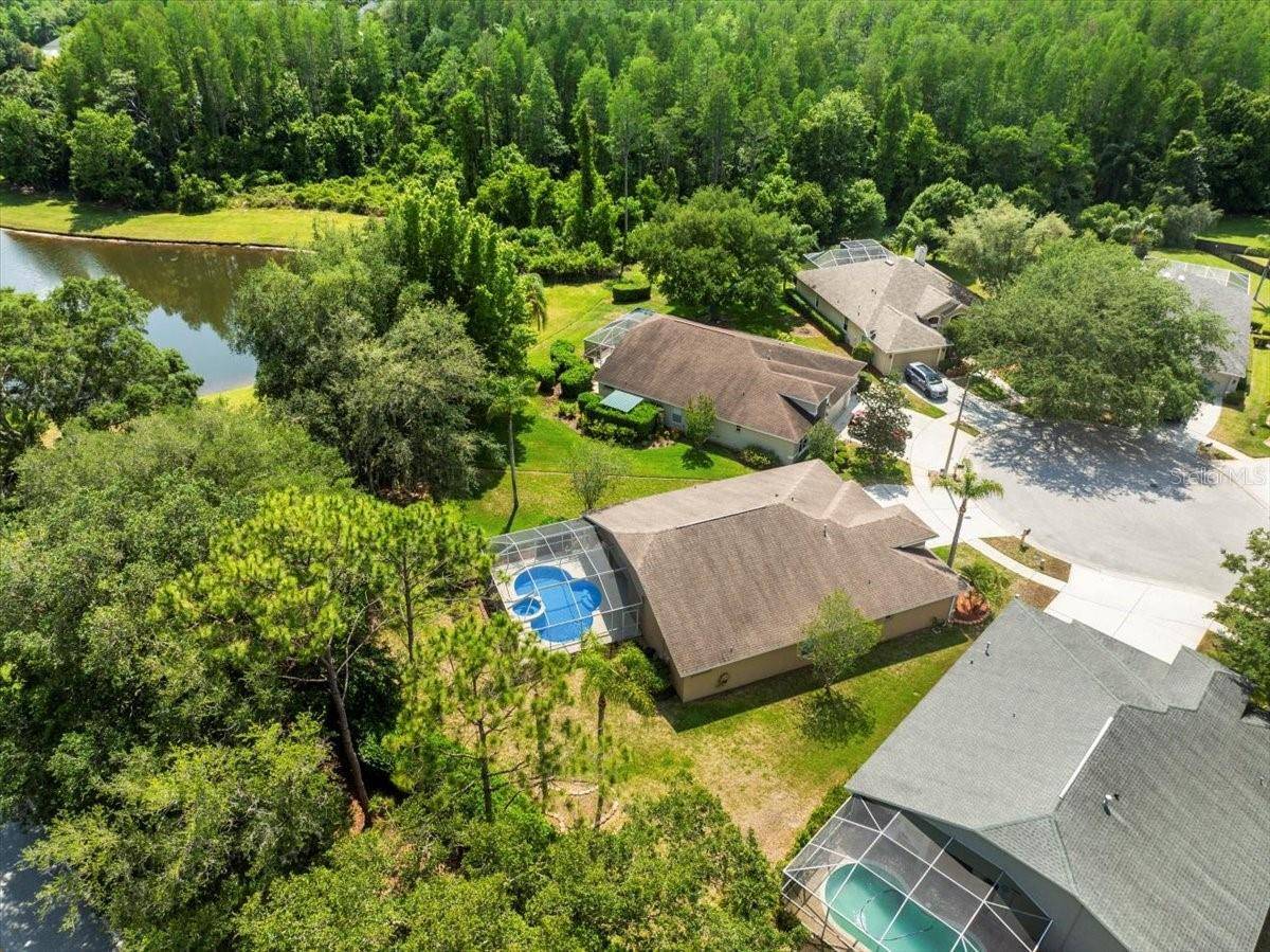 Lutz, FL 33558,4604 PURPLE TIGER CT