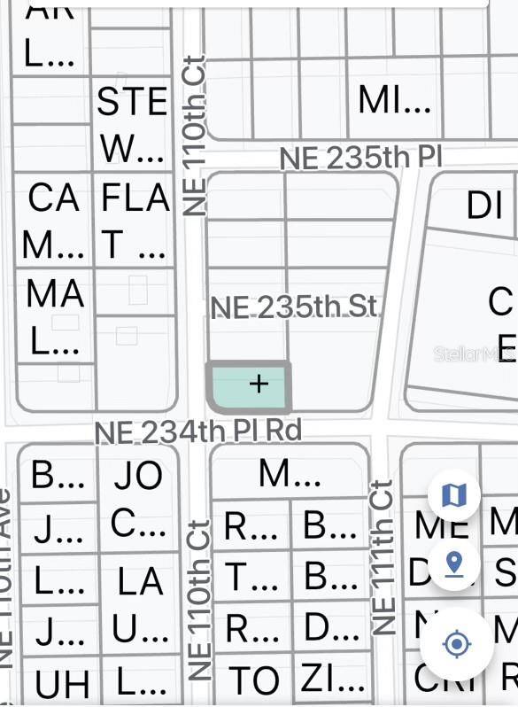 Fort Mc Coy, FL 32134,TBD NE 234 PLACE ROAD
