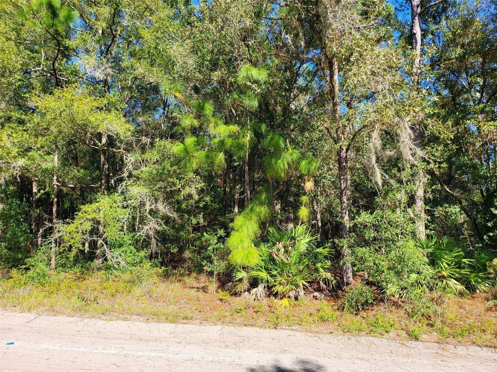 Dunnellon, FL 34432,TBD SW 156 PL