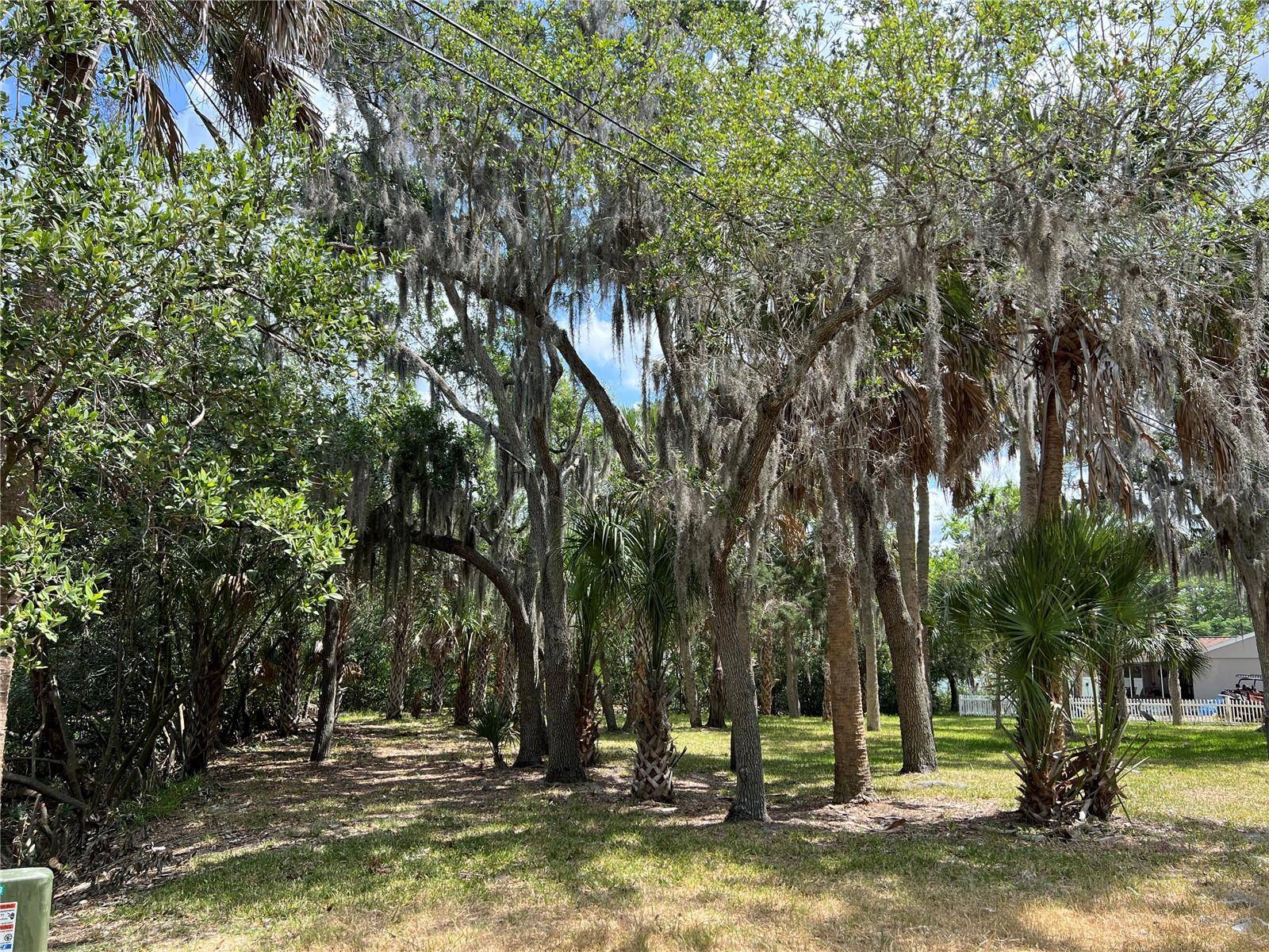 New Port Richey, FL 34652,ISTHMUS DR