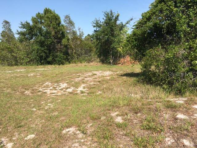 Lehigh Acres, FL 33974,569 BOURSE CIR