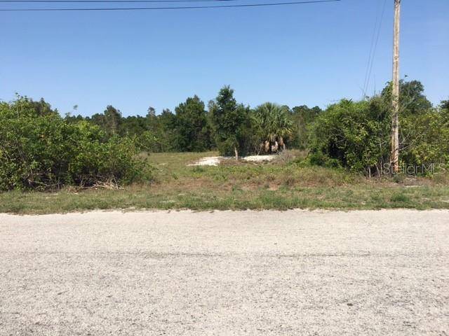 Lehigh Acres, FL 33974,569 BOURSE CIR