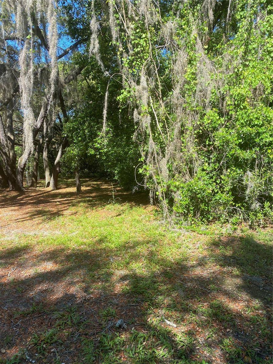 New Port Richey, FL 34654,ADLER ST