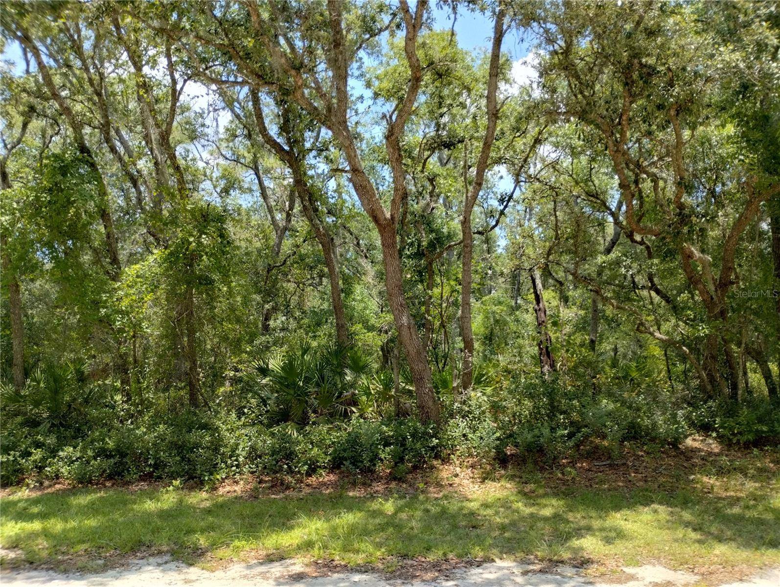 Webster, FL 33597,34215 BERRYHILL