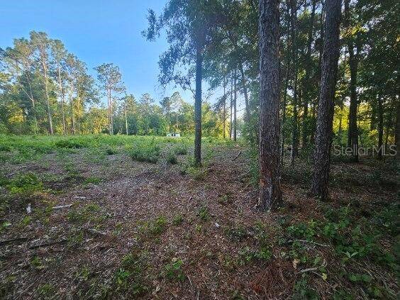 Brooksville, FL 34614,15578 CLIFF SWALLOW RD