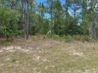 Citrus Springs, FL 34434,2011 W TACOMA DR