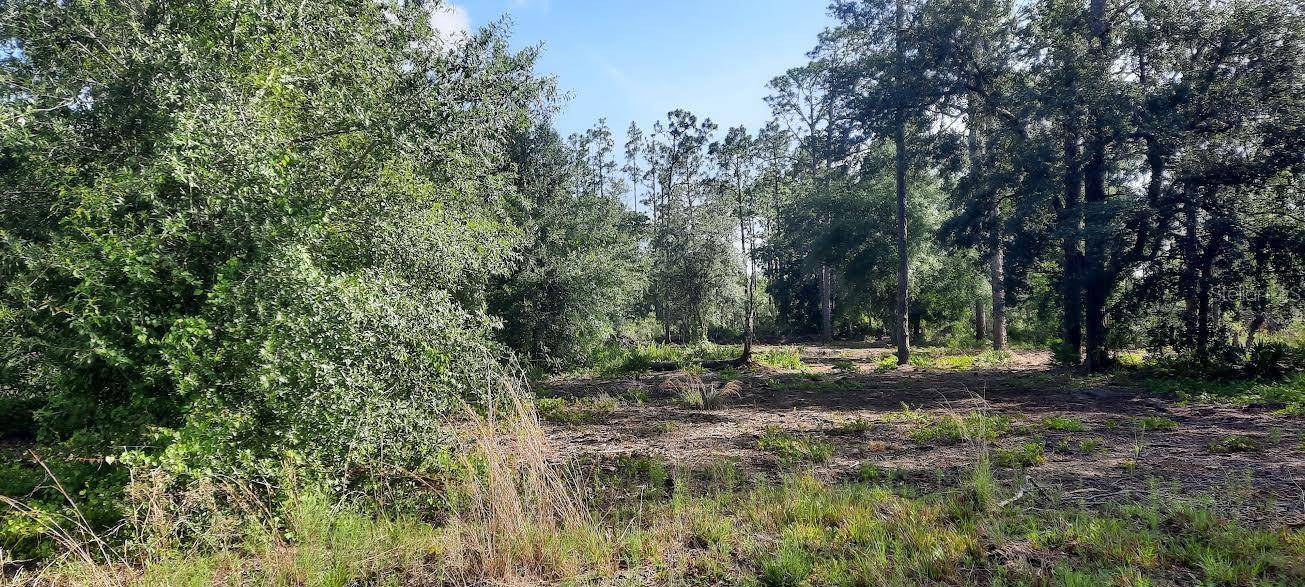 Indian Lake Estates, FL 33855,PANDORA DR